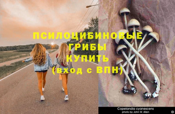 прущие грибы Лихославль