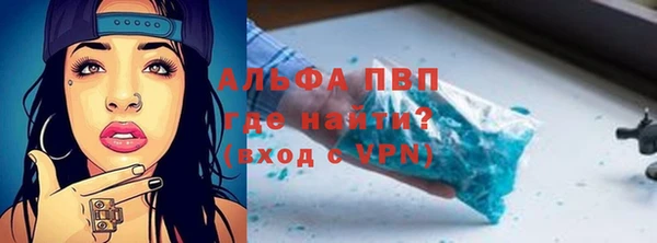 прущие грибы Лихославль