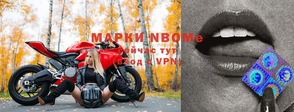 эйфоретик Липки