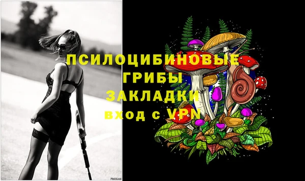 прущие грибы Лихославль