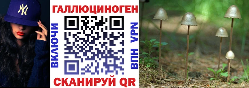 Купить где  Пошехонье  Галлюциногенные грибы прущие грибы 