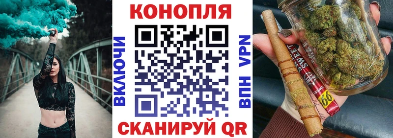 Канабис планчик Пошехонье